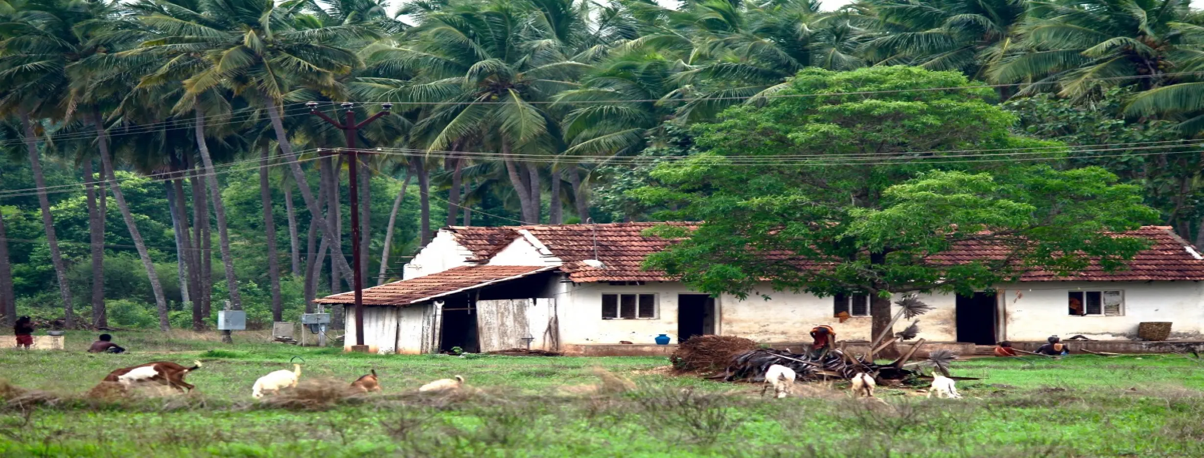 Image for Rural Retreat